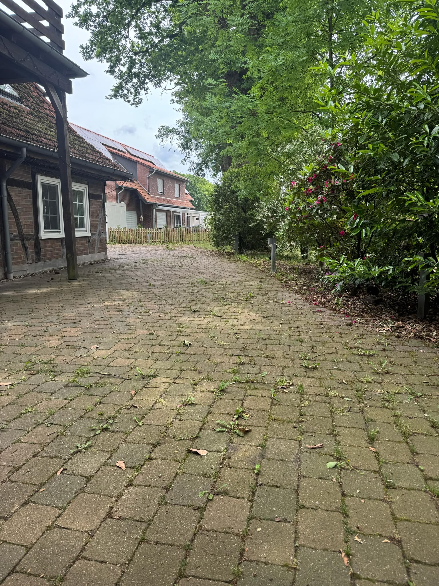 Einfahrt & Grünbereich aufgeräumt – Vorher