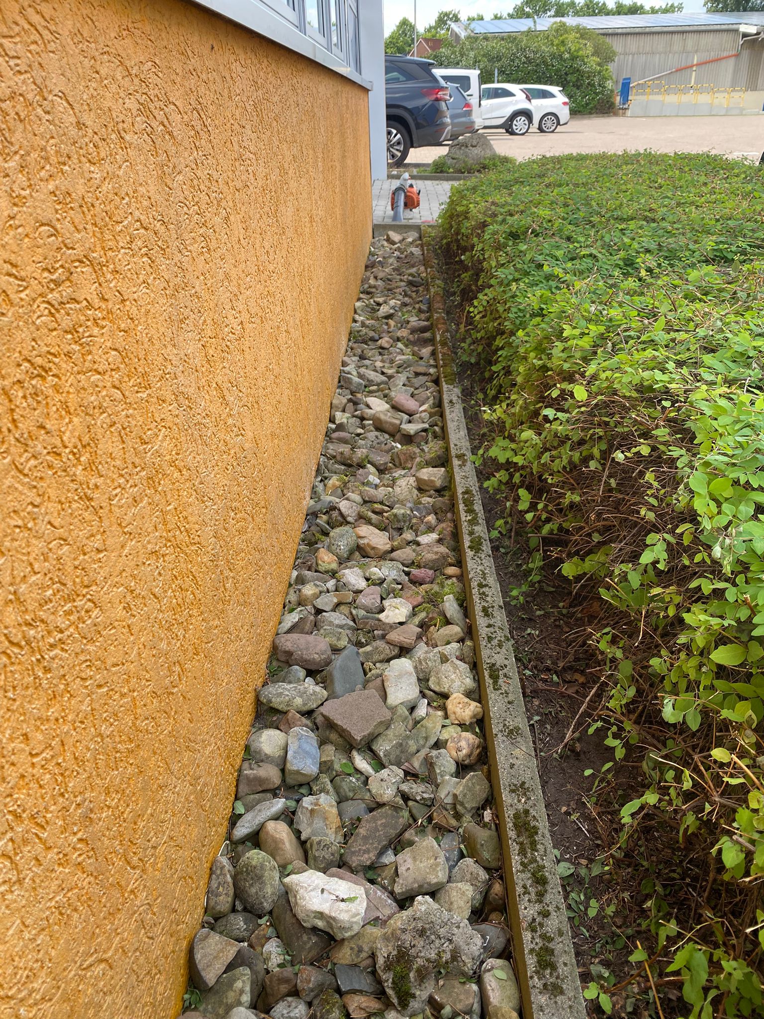 Unkrautentfernung & Sauberhalten – Nachher | Unkrautentfernung durch Grüner geht's nicht Gartenpflege in Burgwedel, Region Hannover